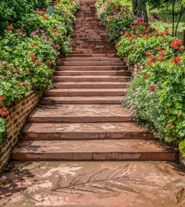 steps-3747068_1280