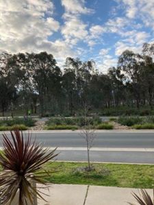 view from front door